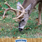 CountryMax Backyard Seeds Cracked Corn 50lbs - High-Energy Animal Feed for Chickens, Squirrels, Deer & Wild Birds, Ground Feeding, High Protein