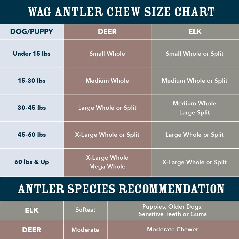 Wag Dog Deer Antler Chew, Naturally Shed, Whole, 9 - 10.5 inches, Long Lasting for Aggressive Chewers, X-Large, Best for Dogs over 45 lbs