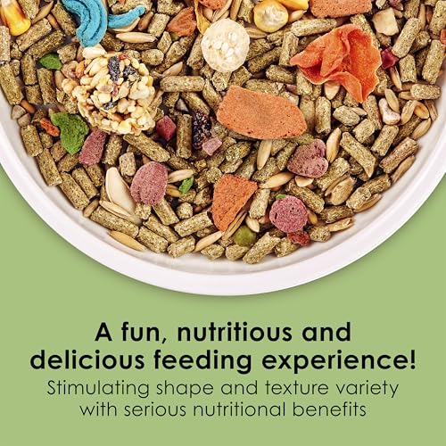 Kaytee Fiesta Guinea Pig Food, Nutritious and Fun Blend, Supports Dental Health and Digestion, 2.5 pounds