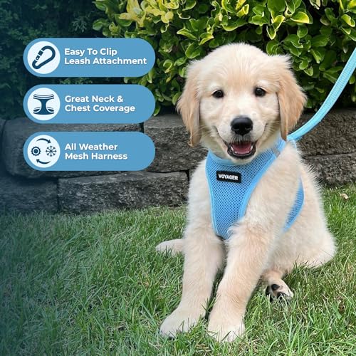 Best Pet Supplies Voyager Step-in Air All Weather Mesh Harness and Reflective Dog 5ft Leash Combo with Neoprene Handle, for Small, Medium and Large