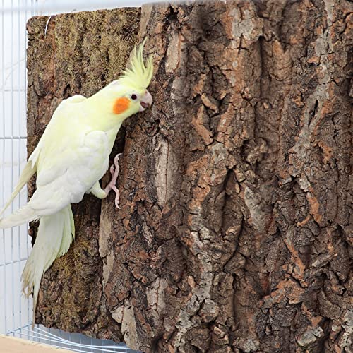 2 Pack 12 x 8 Inch 100% Natural Cork Perch, Bird Cork Seat Boards, Birdcage Bark Decor Accessories for Birds Parakeets Budgie Parrot Cockatiel Hamster Guinea Pig Rat