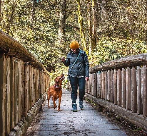 Kurgo 6 in 1 Quantum Leash, Hands Free Leash for Dogs, Running Belt Lead, Crossbody & Waist Belt Style, Reflective, Carabiner Clip, for Training