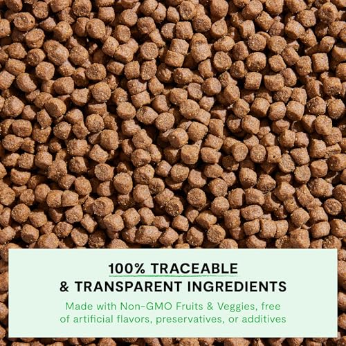 Open Farm, Ancient Grains Dry Dog Food For Small Breeds, Protein-Rich & Nutrient Dense, 90% Animal Protein With Non-GMO Fruits, Veggies and