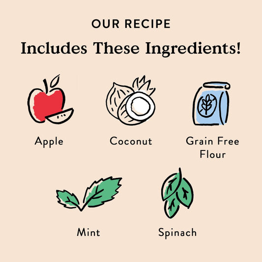 Bocce's Bakery Dailies Brushy Sticks to Support Oral Health & Fresh Breath, Wheat-Free Dental Bars for Dogs, Made with Real Ingredients, Baked in The USA, All-Natural Coconut & Mint, Medium Dogs