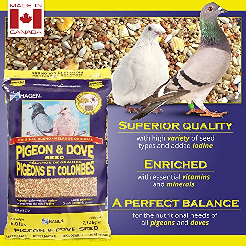 Hagen Pigeon & Dove Seed, Original Formula Bird Food, 6 lb Bag – Nutritionally Complete Seed Mix with Vitamins & Minerals – Wild & Captive Bird Diet – Insect-Resistant Air-Tight Packaging