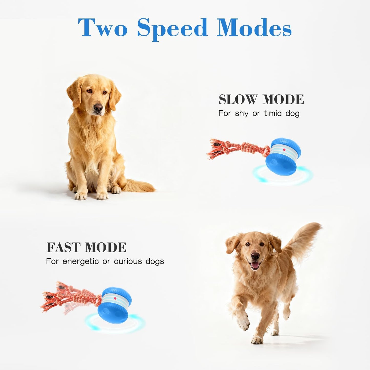 PJC Interactive Dog Toy – Automatic Electric Rolling Ball with Rope, Motion-Activated Play, Random Movement, Rechargeable, Ideal for Boredom Relief for All Dog Sizes