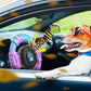 VRTOP Dog Toys for Aggressive Chewers Large Medium Small Breed Indestructible Durable Tough Dog Chew Toys to Keep Them Busy Nylon Rubber Interactive Dog Toys