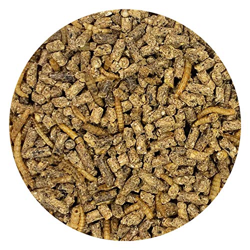 Exotic Nutrition Hedgehog Complete 5 lb - Nutritionally Complete Natural Healthy High Protein Pellets & Dried Mealworms - Food for Pet Hedgehogs