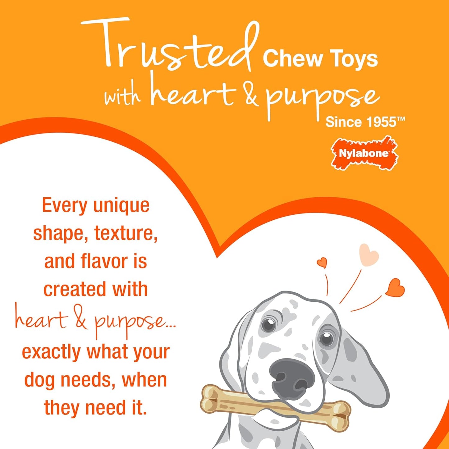 Nylabone New Puppy Starter Kit, 2 Chew Toys and 1 Natural Treat for Puppies, Puppy Teething Toy, Bacon & Chicken Flavor, Small Dogs - Up to 25 lbs., 3 Pack