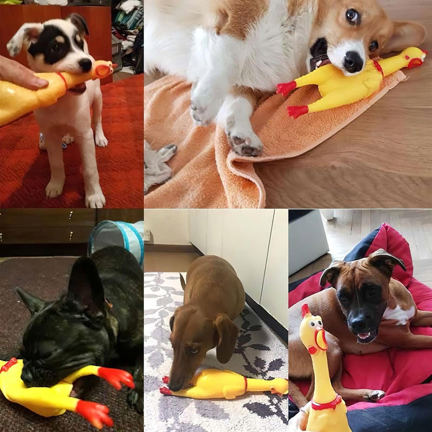 POPLAY Screaming Chicken, Squeaky Chicken Dog Toys Prank Novelty Toys for Kids Adults