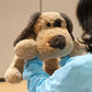 WEIGEDU Floppy Stuffed Dog Puppy Plush Toy, Huggable Beagle Labrador Retriever Stuffed Animal Dogs for Kids Girls Boys Baby Birthday Gift, 20 inch, Brown