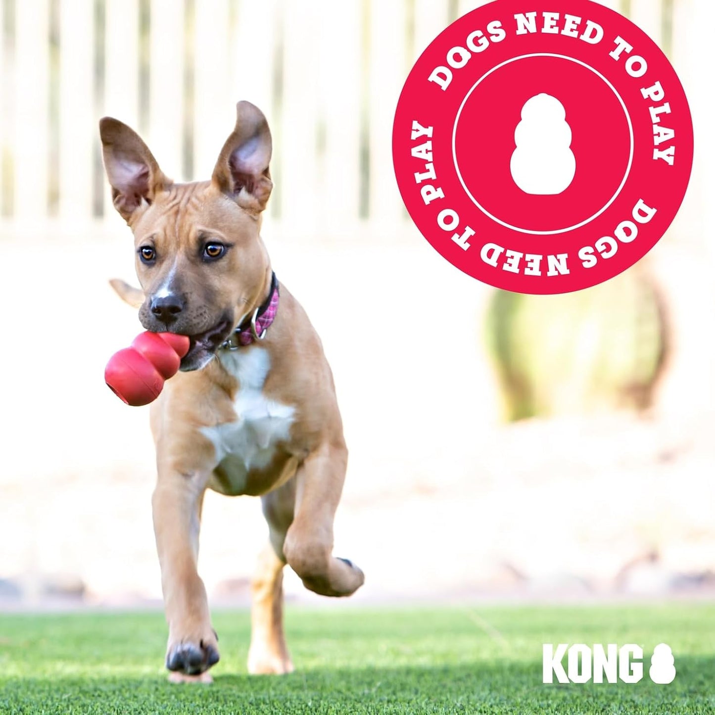 KONG Puppy Binkie - Pacifier Dog Toy for Puppies - Stuffable Treat Chew Toy for Treats - Durable Natural Rubber for Teething Puppy - for Small Puppies - Blue