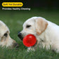 VITEVER 3.5” Squeaky Dog Toy Balls (6 Colors) Puppy Chew Toys for Teething, BPA Free Non-Toxic, Spikey Dog Balls for Medium, Large & Small Dogs, Durable Toys for Aggressive Chewers