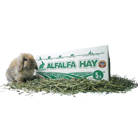 High Desert Alfalfa Hay, Protein Rich Soft Leaf Food for Young Growing Animals, Natural Rabbit Food and Guinea Pig Hay, Supports Digestive Health, Small Pet Supplies, Fresh Hand Packed 5 Lb Box