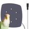 Bird Heater, Thermostatical Bird Warmer for Parakeets, IP67 Waterproof Bird Accessories and Supplies, 12V