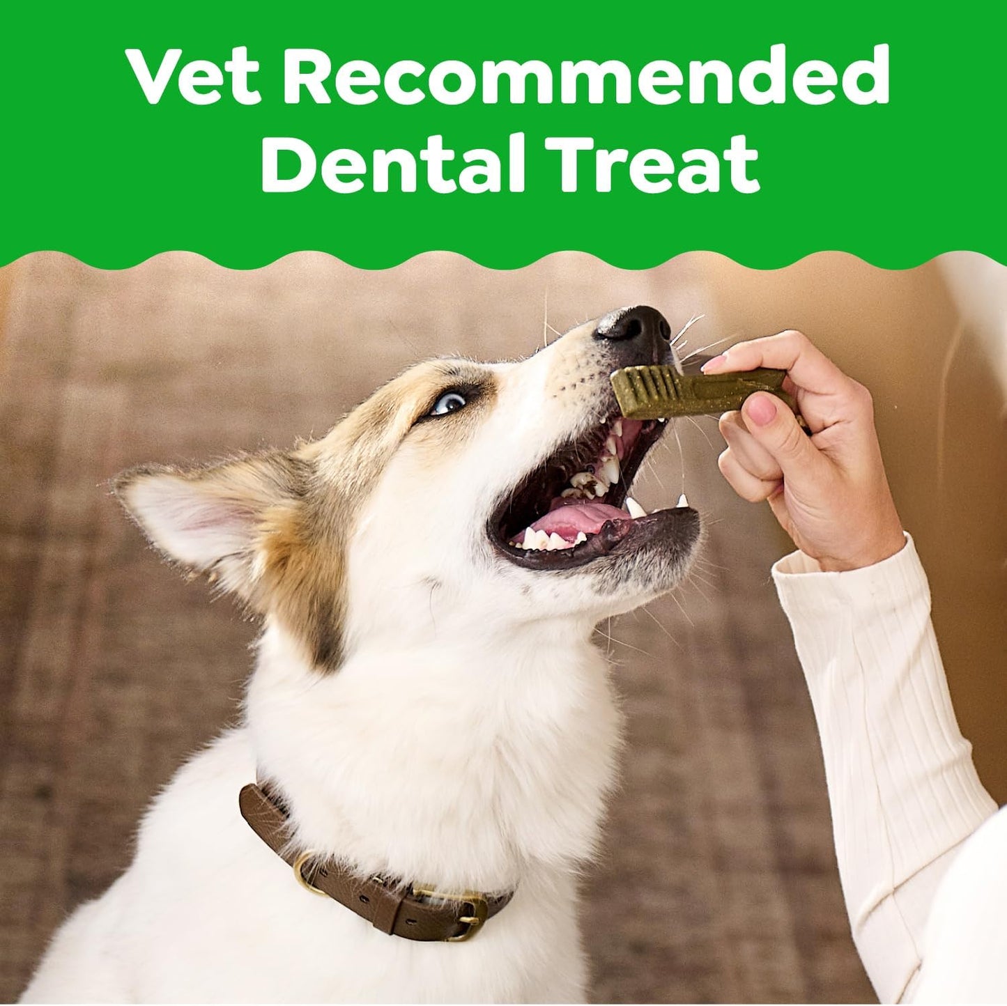 Greenies Veterinarian-Recommended Adult Natural Dental Dog Treats Petite Size, Original Flavor, 36 oz. Pack, 60 Count