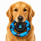 Pamlulu Tough Dog Toys for Aggressive Chewers, Indestructible Dog Toy for Large Dogs, Nylon Chew Toys for Medium Large Breed, Interactive Dog Toys to Keep Them Busy, Dog Birthday