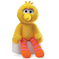 GUND Sesame Street Official Big Bird Take Along Buddy Plush, Premium Plush Toy for Ages 1 & Up, Yellow, 13”