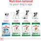 Royal Canin Size Health Nutrition Small Adult Dry Dog Food, 14 lb Bag