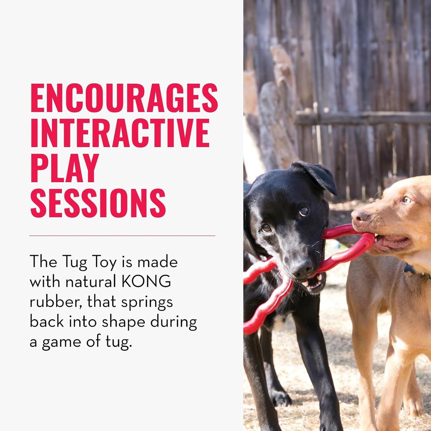 KONG Tug Toy - Dog Supplies for Tug of War - Natural Rubber Dog Toy for Outdoor & Indoor Playtime - for Medium/Large Dogs