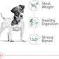 Royal Canin Size Health Nutrition Small Adult Dry Dog Food, 14 lb Bag