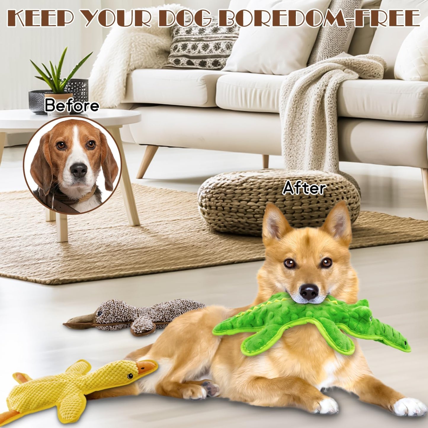 MAOOOOB No Stuffing Dog Squeak Toys-3 Pack Chew Toys for Small Medium Large Breed- Durable Puppy Teething Interactive to Keep Them Busy- Best Birthday Gift