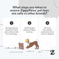 ZippyPaws Skinny Peltz - No Stuffing Dog Toy Pack to Keep Them Busy, for Medium and Large Dogs, Squeaky Pet Toys, Unstuffed Chew Toys, Soft Plush Variety Pack, Fox, Raccoon, and Squirrel - 18"