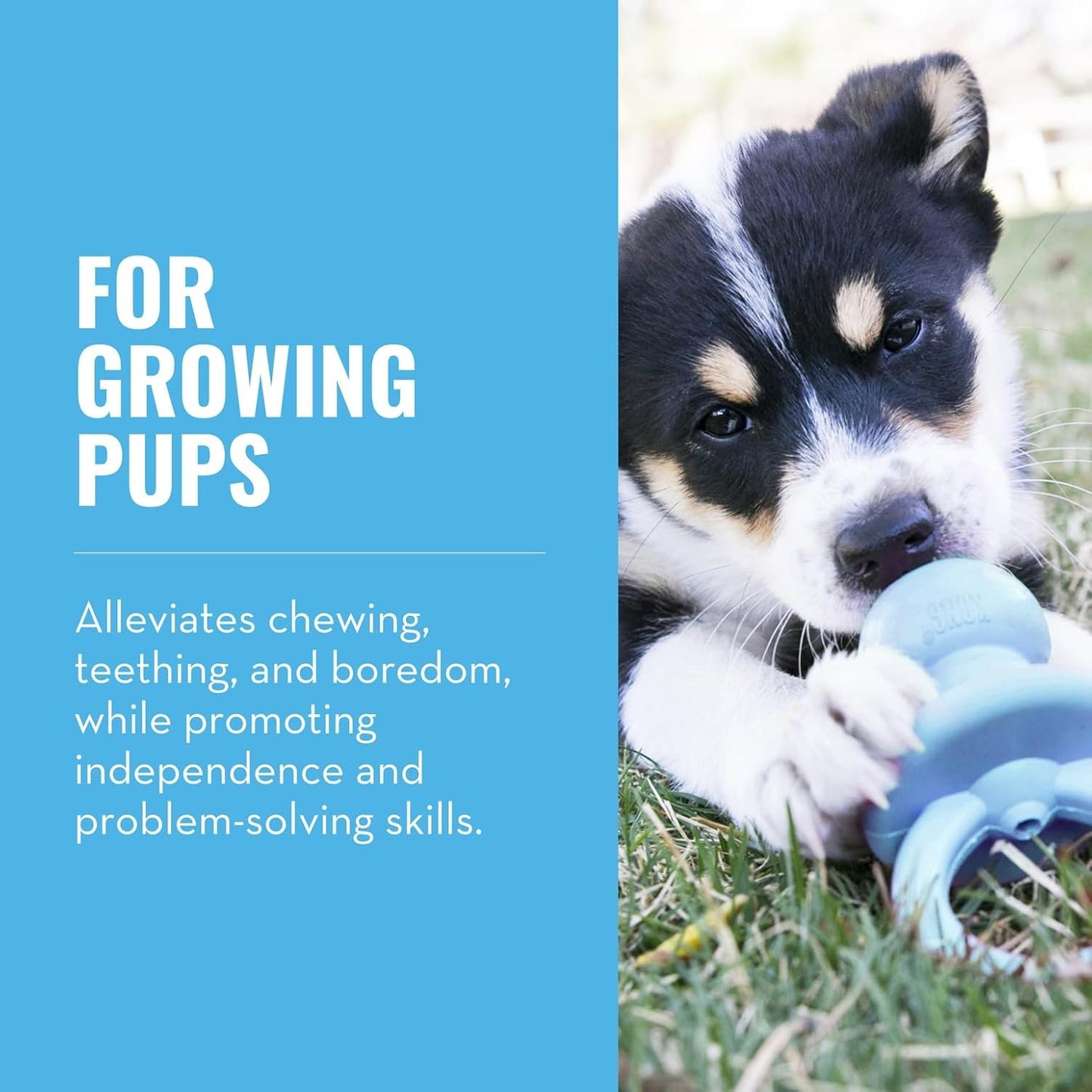 KONG Puppy Binkie - Pacifier Dog Toy for Puppies - Stuffable Treat Chew Toy for Treats - Durable Natural Rubber for Teething Puppy - for Small Puppies - Blue