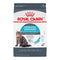 Royal Canin Feline Care Nutrition Urinary Care Adult Dry Cat Food, 6 lb Bag