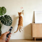 UMSIS Bird Toy, Distinctive Black Painted Metal Casing with Paw Print Design, USB Rechargeable, 7 Adjustable Patterns,Portable Interactive Chase Toy for Indoor Bird & Cats & Dogs Training and Exercise