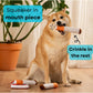 Nestpark Muttboro Doggy Cigs Funny Dog Toys - Parody Plush Squeaky Crinkle Interactive Dog Toy - Hide and Seek Treat Hiding Burrow Puzzle Toy for