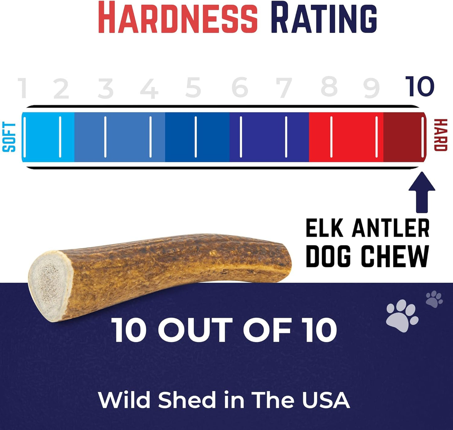 Devil Dog Pet Co. Elk Antlers for Dogs, Medium 5"+, 1 Pack, Grade A Long Lasting Chew for Aggressive Chewers, Premium USA Naturally Shed Antler – Healthy, No Odor, Durable Dog Chew