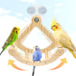 Rocking Bird Toys Perch for Window and Cage, Bird Perch for Wall Suction Mount, Wooden Parrot Toys for Medium Birds, Enrichment Cockatiel Toy Fun and Accessoriess for Budgie, Lovebird, Conure