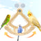 Rocking Bird Toys Perch for Window and Cage, Bird Perch for Wall Suction Mount, Wooden Parrot Toys for Medium Birds, Enrichment Cockatiel Toy Fun and Accessoriess for Budgie, Lovebird, Conure