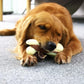 Tikaton Indestructible Dog Chew Toys for Aggressive Chewers, Beef Flavor Durable Dog Teething Chew Toys Bones for Large/Medium/Small Puppies