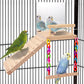 KyoukiBird Perch Platform Bird Toys with Bird Mirror Climbing Ladder Swing, Parakeet Cage Accessories - for Cockatiels, Lovebirds, Budgies,Pacific Parrotlets,Finch,Canaries - Wooden Play Gym