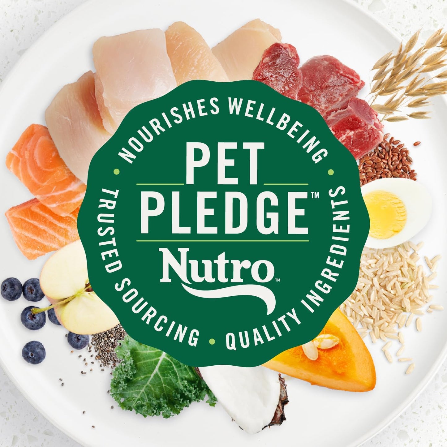 Nutro Ultra Adult Large Breed Dry Dog Food, Chicken, Lamb and Salmon Protein Trio, 13 lb Bag