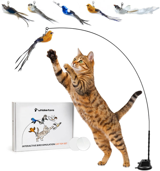 Whiskertons Interactive Bird Simulation Cat Toy Set, Interactive Cat Toys for Indoor Cats, Cat Feather Toy, Self-Holding Suction Base, 5 Replacement
