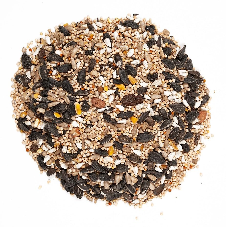 Wagner's 62034 Greatest Variety Blend Wild Bird Food, 6-Pound Bag