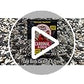 Cardinal & Crew Wild Bird Seed – 10 lb. Black Oil Sunflower, Sunflower Hearts & Safflower Blend for Cardinals, Grosbeaks & Chickadees – Bird Food for Outside Feeders