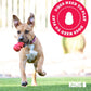 KONG Extreme Dog Toy - Fetch & Chew Toy - Treat-Filling Capabilities & Erratic Bounce for Extended Play Time Most Durable Natural Rubber Material - for Power Chewers - for Large Dogs