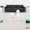 Interactive Cat Toy for Indoor Cats, Auto/Remote Control DIY Cat Mouse Hunting Treadmill Keep Bored Kitten Puppy Entertained to Chase, Feather Toy to Exercise-Sky Blue