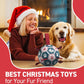 QDAN Dog Balls, World Cup Soccer Ball with Straps, Durable Herding Balls for Small Medium Pet, Puppy Birthday Gifts, Dog Water Toy, Pet Toys Puppy Ball (6 Inch)