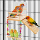 Bird Perches Platform Swing with Bird Mirror Climbing Ladder Birds Toys Cage Accessories for Cockatiels, Lovebirds, Pacific Parrotlets,Chinchilla, Hamster Play Gym Exercise Stand (with Mirror)