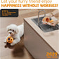 havit Frozen Dog Treats Toy to Keep Them Busy, Cognitive Dog Enrichment Toys,Interactive Toys Long Lasting, Easy to Clean (Orange)