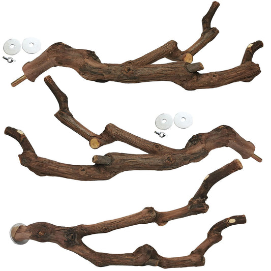 kathson Natural Parrot Perch Bird Stand Pole Wild Grape Stick Paw Grinding Fork Parakeet Climbing Standing Branches Toy Chewable Cage Accessories for