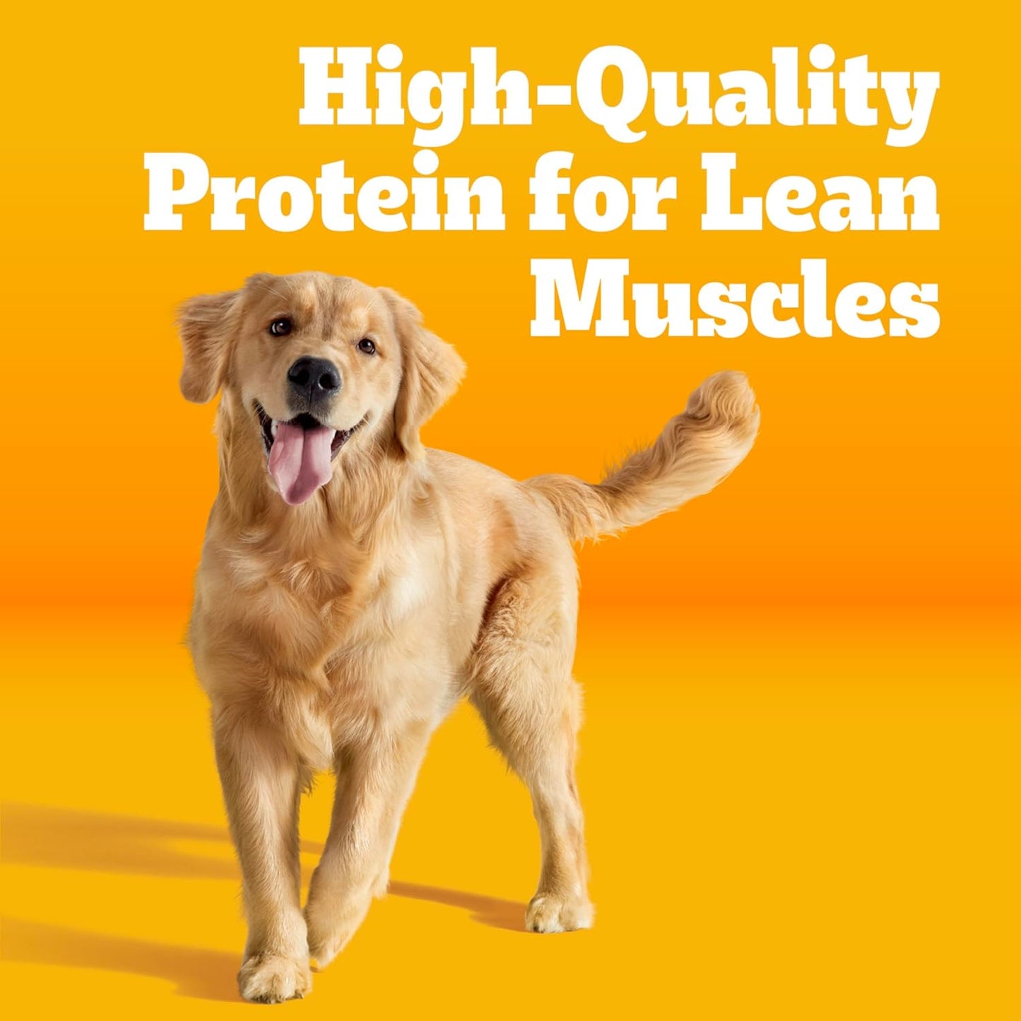 Pedigree High Protein Adult Dry Dog Food, Beef and Lamb Flavor, 18 lb. Bag