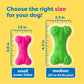 Hartz DuraPlay Bone Squeaky Latex Dog Toy for Medium Breeds, 3 Pack