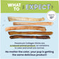 Pawstruck Natural Large 12" Beef Collagen Sticks for Dogs – Long-Lasting Rawhide Alternative, High Protein Treats with Chondroitin & Glucosamine – 5 Pack