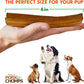 Pork Chomps Roasted Pork Skin Dog Chews, 6-inch Rib Shapes, 10 Count